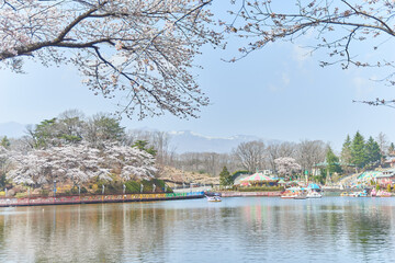 Fototapeta premium 栃木県那須のりんどう湖ファミリー牧場