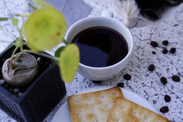 The hot black coffee in a white cup and the crackers are intense and go well together.