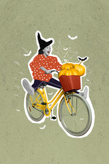 Creative 3d photo artwork graphics painting of carefree lady witch rising bike isolated drawing...