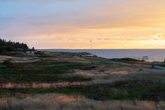 Ringk&oslash;bing Fjord near skaven strand at sunrise with trees, grass and heather flowers at the beach