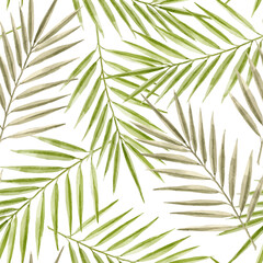 Beautiful vector tropical seamless pattern with hand drawn watercolor palm tree leaves. Stock illustration.