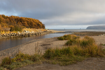 Beautiful autumn landscape. View of the mouth of the river and the sea bay. Autumn larch forest on the coast. Beach umbrellas on the shore. Gertner Bay, Sea of Okhotsk, Magadan Region, Far East Russia
