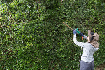 電動バリカンで剪定する主婦