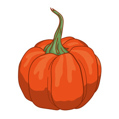 halloween, pumpkin, orange, holiday, october, pumpkins, vector