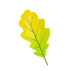 leaf isolated on white