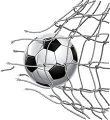 soccer ball in the goal net