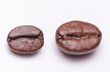 Horizontal row of coffee beans order aligned, organization concept, close-up macro still life on white background