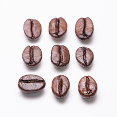 Rows of coffee beans order aligned, organization concept, close-up macro still life on white...