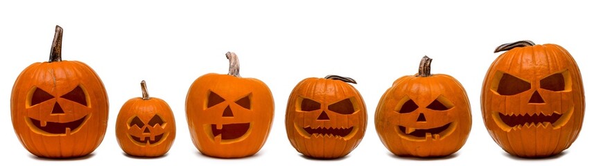 Halloween banner panorama long wide template - Many spooky scary carved orange pumpkins, isolated on white background