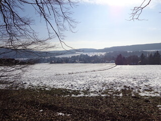 winter landscape with snow