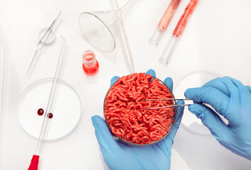 Petri dish with cultured meat in laboratory