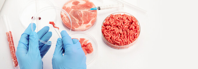 Petri dish with cultured meat in laboratory