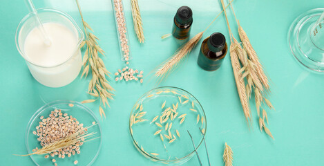 Obraz na płótnie Canvas Analyzing agricultural wheat grains in laboratory