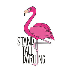 Stork bird illustration isolated on Png Transparent background