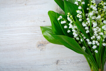 Fototapeta premium beautiful flowers of lily of the valley