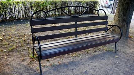 bench in the park