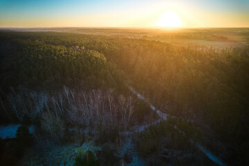 Aerial view of forest of rows of trees. Sunrise lighting tops of forest trees. Golden hour over the...
