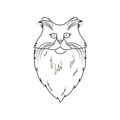 Stylized drawing of a cat's head. Linear drawing of a cat.