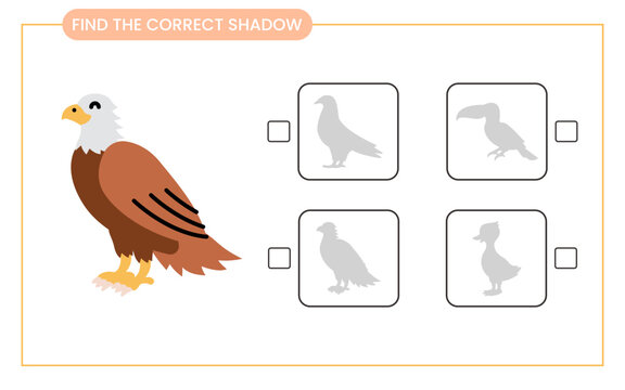 Find the correct shadow eagle. Activity worksheet for preschool kids. Animals theme. vector illustration.
