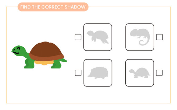 Find the correct shadow turtle. Activity worksheet for preschool kids. Animals theme. vector illustration.