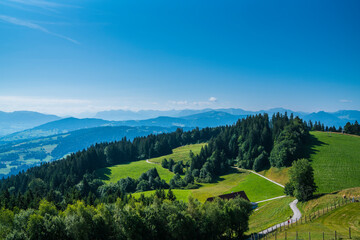 Austria, Endless panorama view above tree tops, forest nature landscape alps mountains in hiking region view from pfaender mountain on sunny day