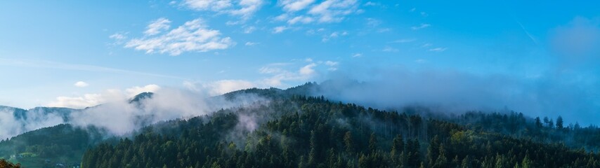 Germany, XXL panorama schwarzwald forest nature landscape baden near freiburg im breisgau in misty...