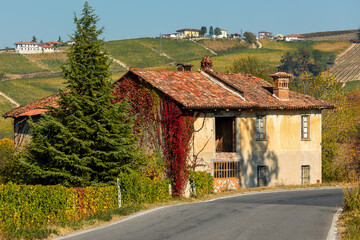 Old abandoned house on the side of the road and autumnal vineyards on the hills in Italy.