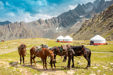 Harnessed horses stand in the mountains, waiting for tourists for a horseback ride. Hiking...