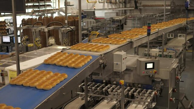 Bread and rolls on a blue conveyor belt in a bakery factory