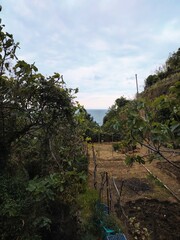 Seacoast of Cinque Terre with its villages and nature in Italy during a gloomy day of spring