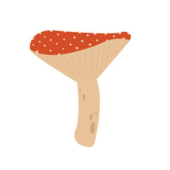 Mushroom icon.Forest fungi on isolated background.Wild forest mushrooms in autumn. Vector illustration cartoon flat style