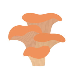 Fungi mushroom icon.Bunch of pleurotus ostreatus.Forest fungi on isolated background.Wild forest mushrooms in autumn. Vector illustration cartoon flat style