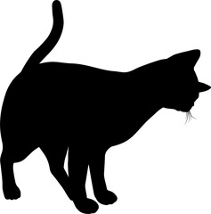 Silhouette Cat Pet Animal