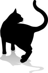 Silhouette Cat Pet Animal