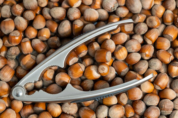 background of hazelnuts and a nutcracker on top