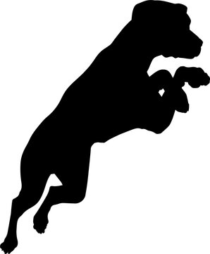 recommend clip art: Dog Silhouette Pet Animal