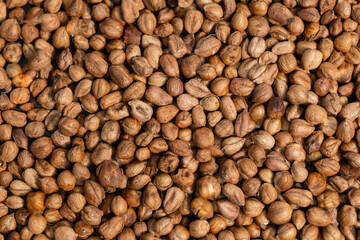 background of already peeled hazelnuts top view