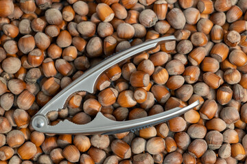 background of hazelnuts and a nutcracker on top