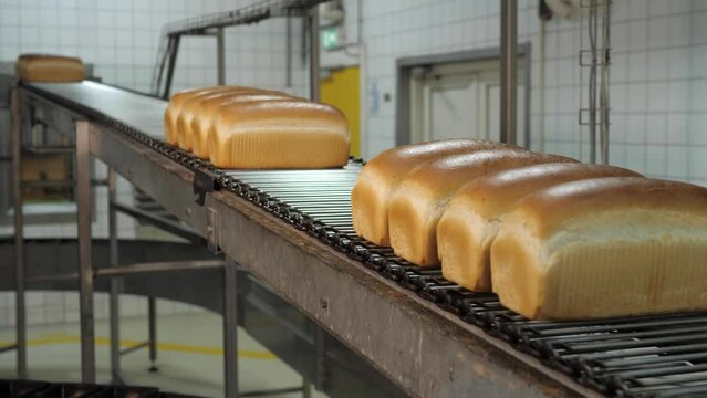 Baked white bread on a conveyor belt in a bakery factory, end of production with empty conveyor