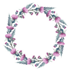 Purple plume thistle. Hand-drawn watercolor wreath. Artistic illustration on a white background. 