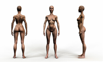 Female android robot. Extremely detailed and realistic high resolution 3D illustration