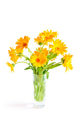 A bouquet of Calendula flowers in a glass vase on white background
