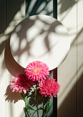 A round canvas and a bouquet of aster flowers are on a white wooden background, brightly illuminated by the light from the window. Silhouettes of plants fall on a round frame. Flower arrangement.