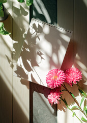 Flowers and an open empty notebook are on a wooden background, brightly lit by the light from the window. Silhouettes of plants fall on a sheet of paper. Floral arrangement with copy space.