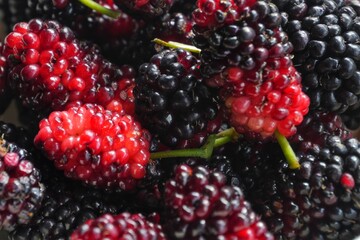 Close-up of blackberries freshly picked in Vacoas Mauritius 