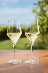 Two white wine glasses on mountain landscape background