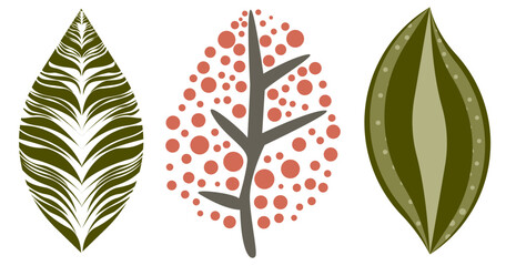 Fototapeta premium Tree Leaves set with 3 types of tree leaf isolated vector on white background.