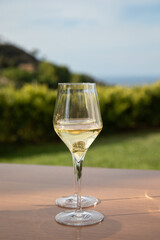 Two white wine glasses on mountain landscape background
