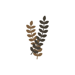 Boho Leaf Illustration