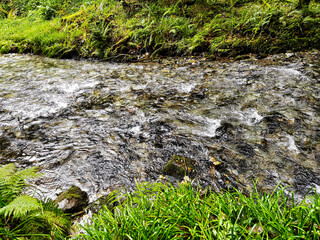 River Lyd - Lydford Gorge, Dartmoor National Park, Devon, United Kingdom